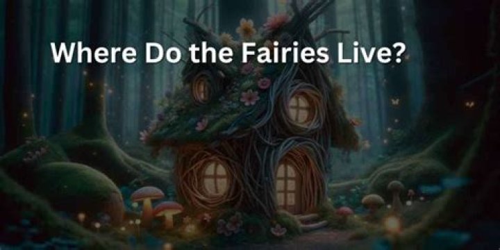 Where do the fairies live?