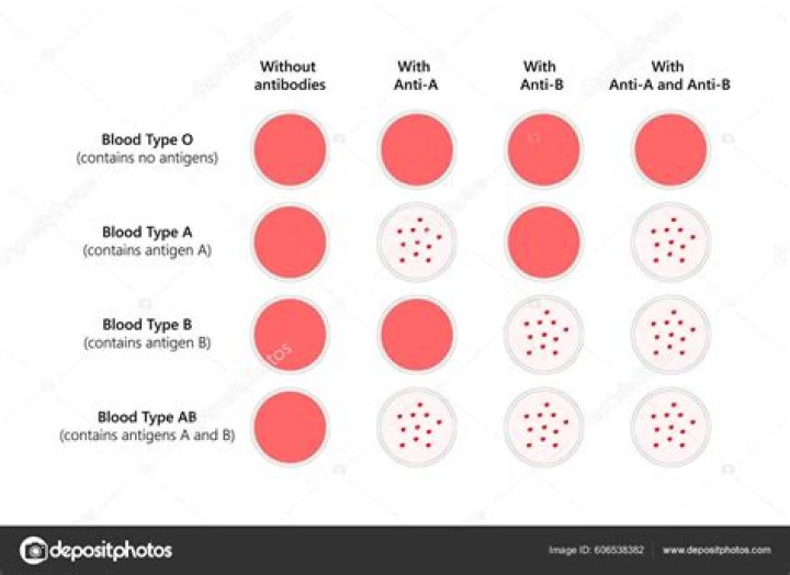 Which are the characteristics of type O blood?