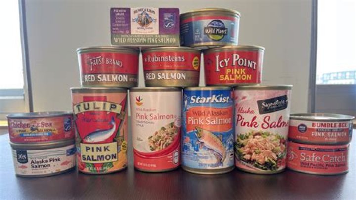 Which canned salmon has the least mercury?