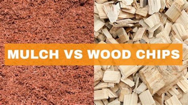 Which is better mulch or wood chips?