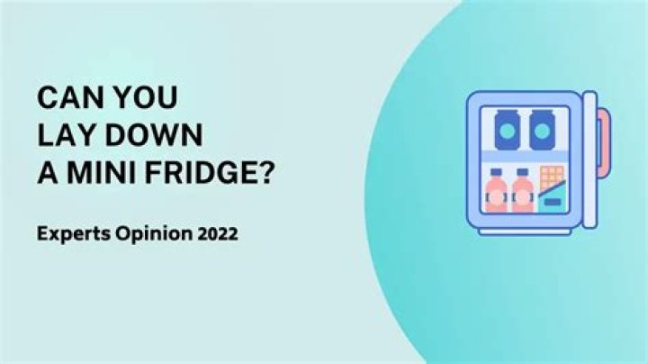 Which side do you lay a fridge down?