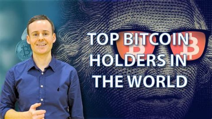 Who are the top Bitcoin holders?