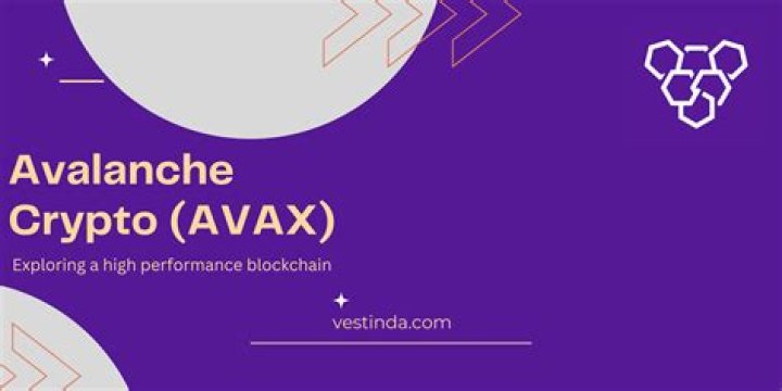 Who is behind Avalanche crypto?