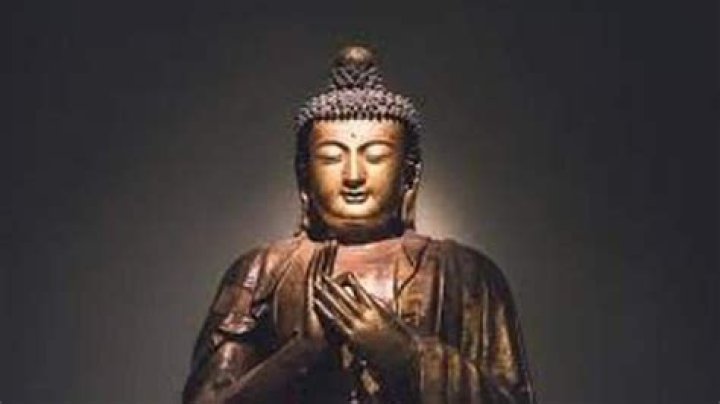 Who plays the guitar solo on Bodhisattva?