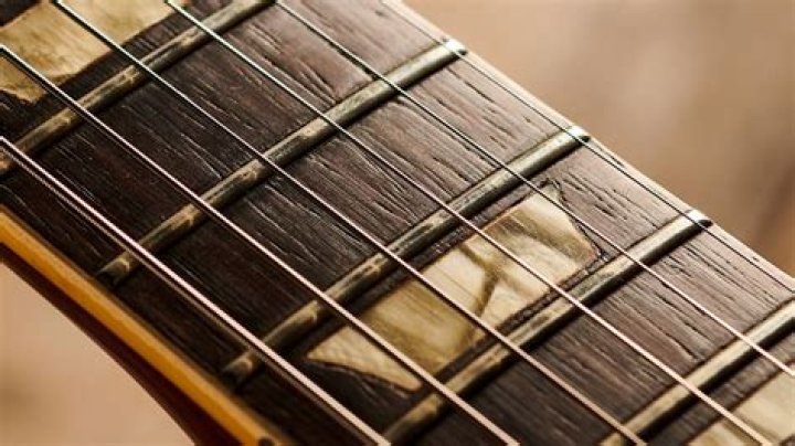 Why are rosewood guitars banned?