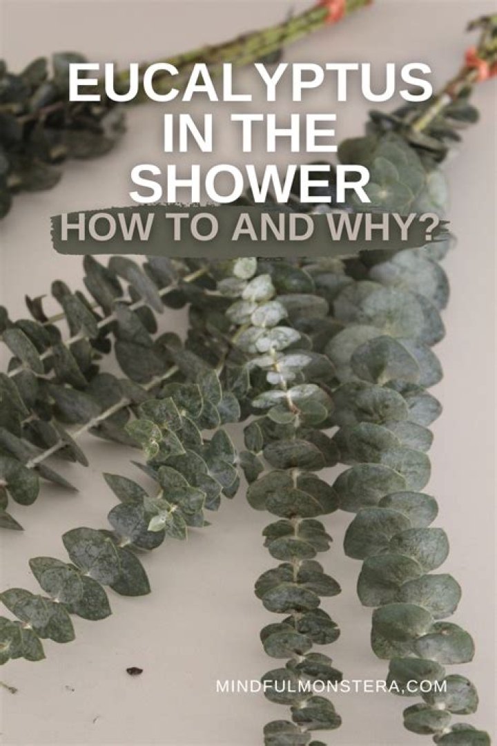 Why can't I smell my eucalyptus in the shower?