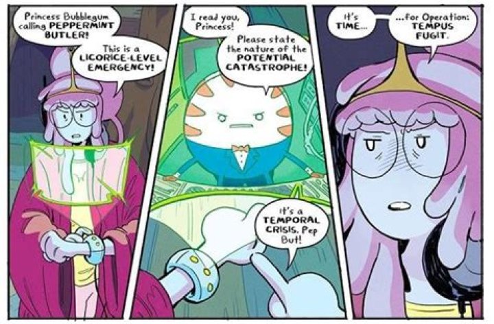 Why did Peppermint Butler slaps Princess Bubblegum?