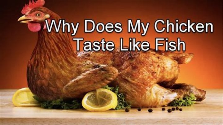 Why does this chicken taste like fish?