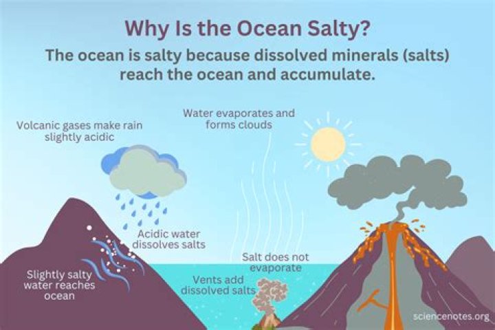 Why is ocean sand white?