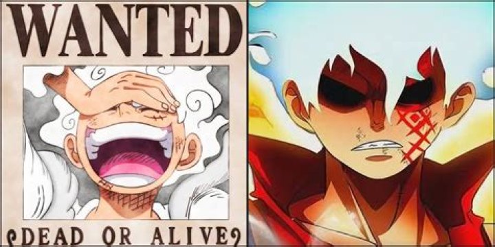 Will aokiji join Luffy?