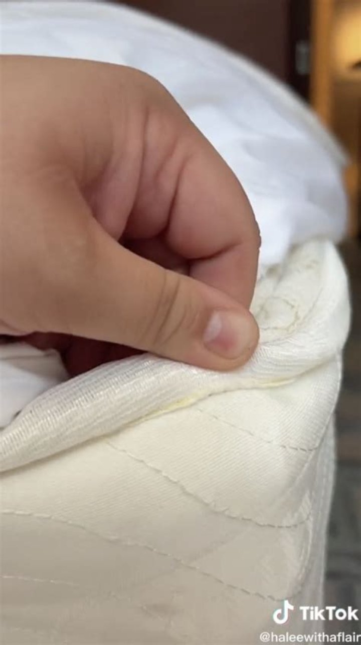 Will rats come in your bed?